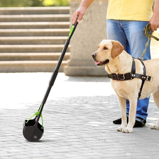 Folding Dog Poop Scooper (Assorted Color)
